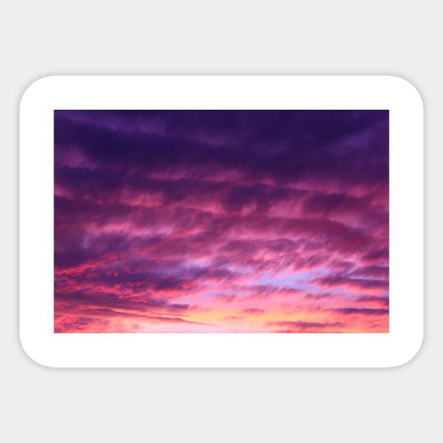 Purple Sunset Sticker by NewburyBoutique